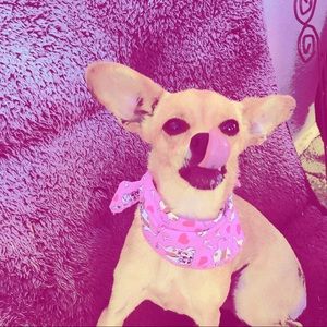 Meet your Posher, Ariana